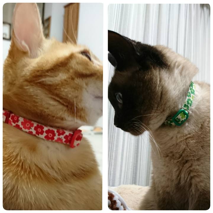 42ec0cdb 3bf0 49f7 b2fb 39e5fcd244be 1523618076855