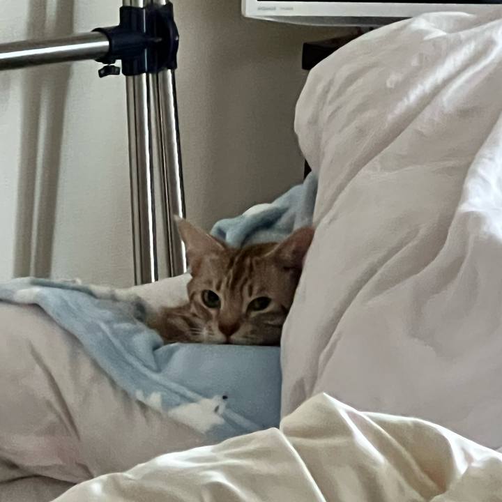 42ec36c9 bf9c 4348 91fa 876f6a40073e 1673766937728