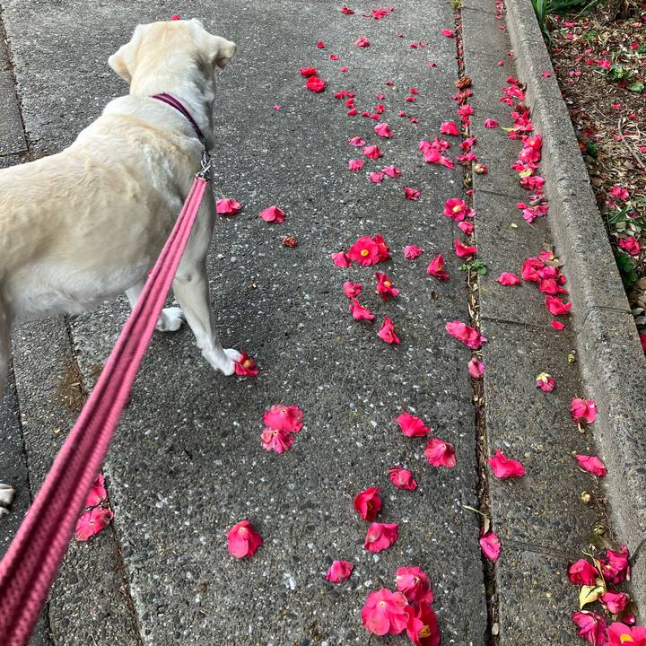 42ec4b9f 8616 4b3f 90c2 456605833335 1679012876194