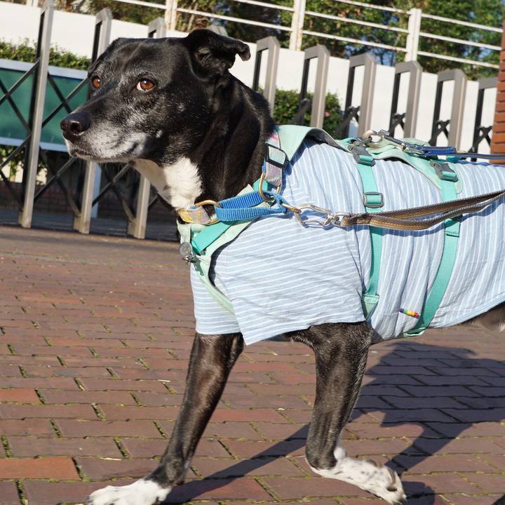 42ec5085 b161 464a b449 1de2a96aceb8 1773276216618