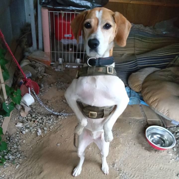 42ec805e e4ac 4135 957c f1f030a0ef84 1718618673941