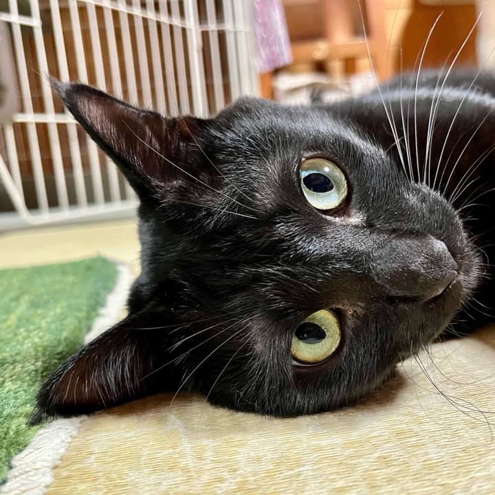 42ec81dd afbd 4333 be7f 6dd87a55d805 1693615513708