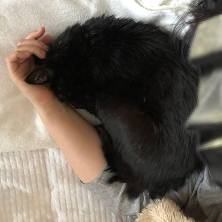 42ec8745 4f39 41bc ac41 a0ba36fc1e04 1574588221481