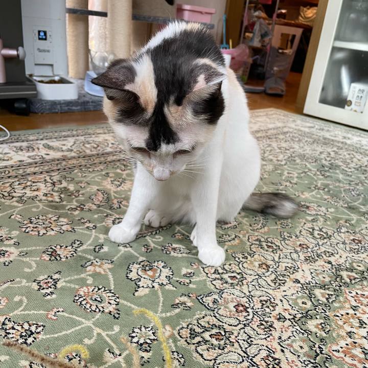 42ec8920 d12d 41af 8b63 997e9d92b55c 1759447360363