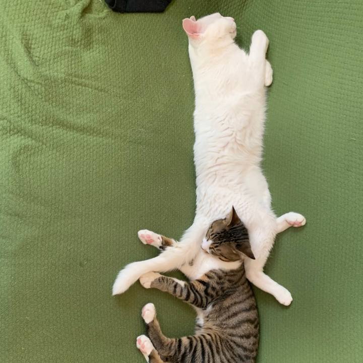 42ec8da0 89d8 4b33 8e6f 7f51b0a768c2 1602241978730