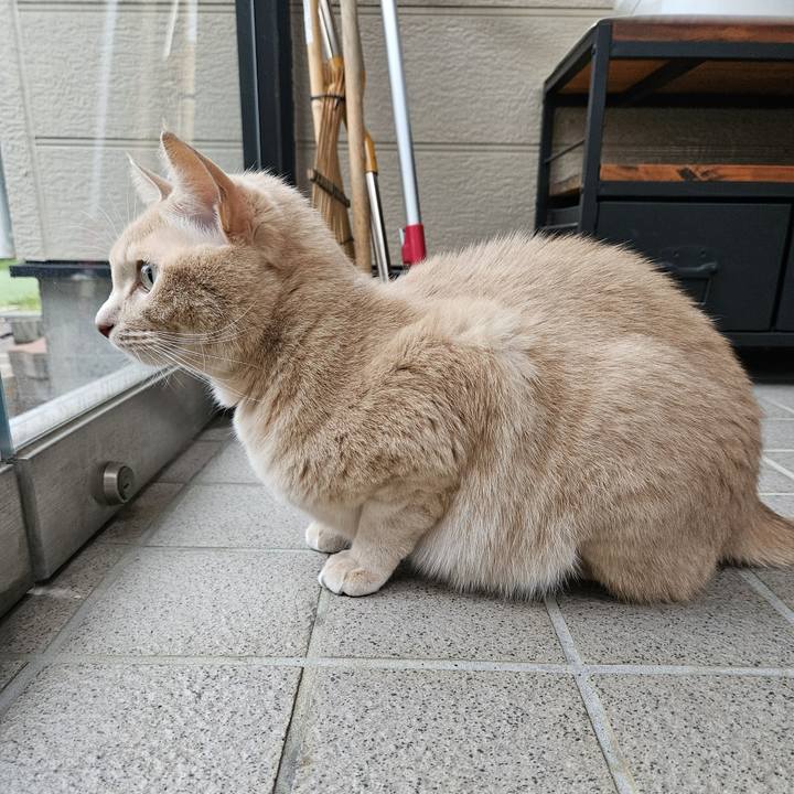 42eca6b7 153f 4bc7 aa6f 9d9a19d625d1 1697871350247