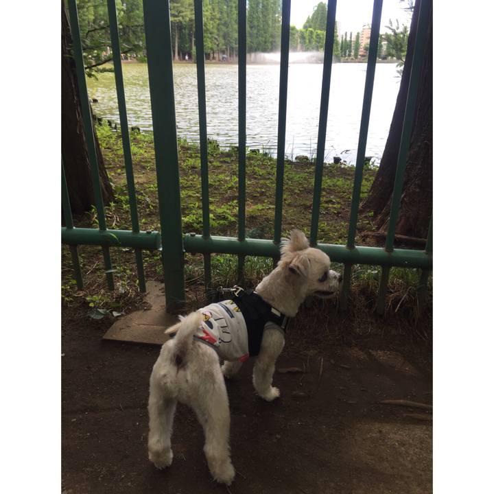 42ecaa71 a60b 44bc abdc 6712d53f339a 1531050643144