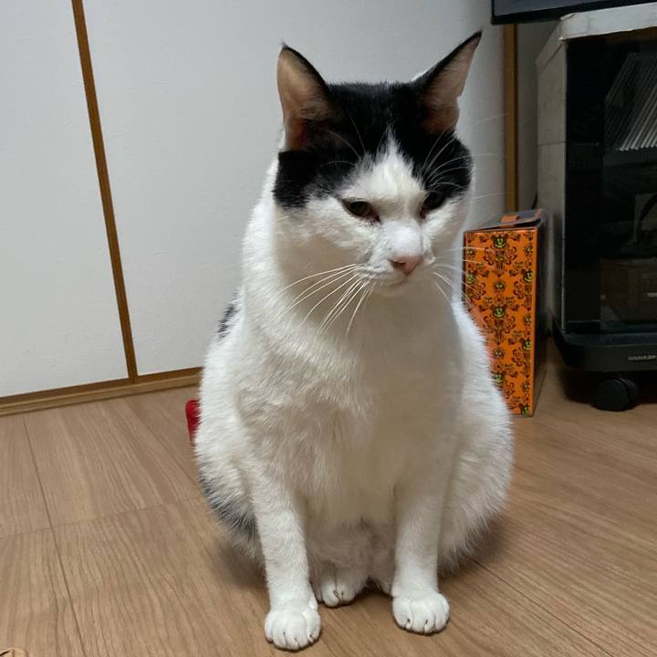 42ecbcb5 729a 4cb8 af91 f7f13deb56ac 1577020150939