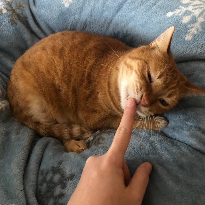 42ecdc57 9349 4129 8406 c8a7532a055e 1701564469620