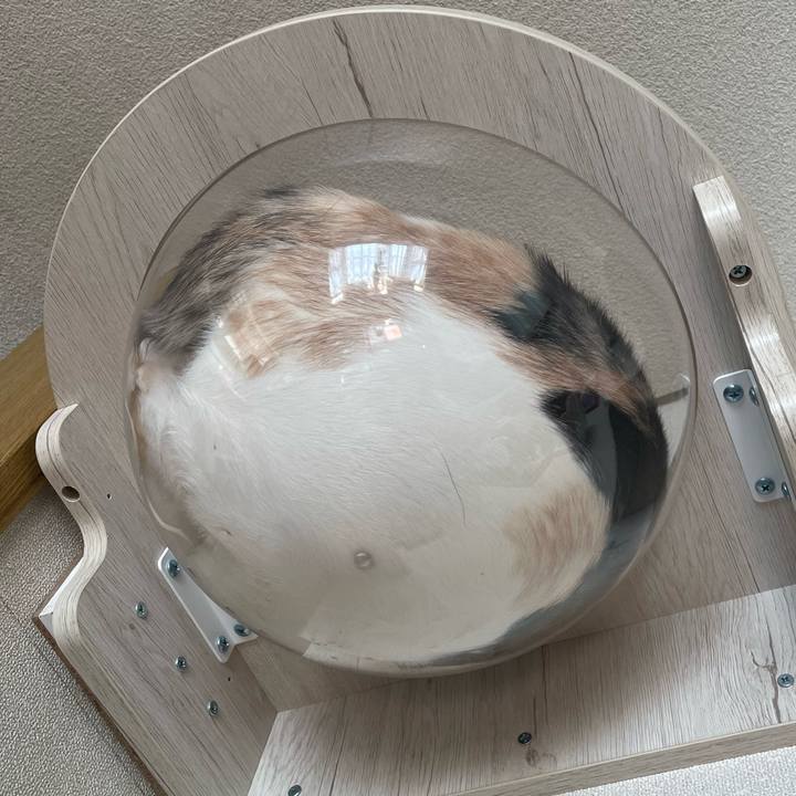 42eceb05 ed4e 4150 b1ce 6002c011bccc 1743727274415