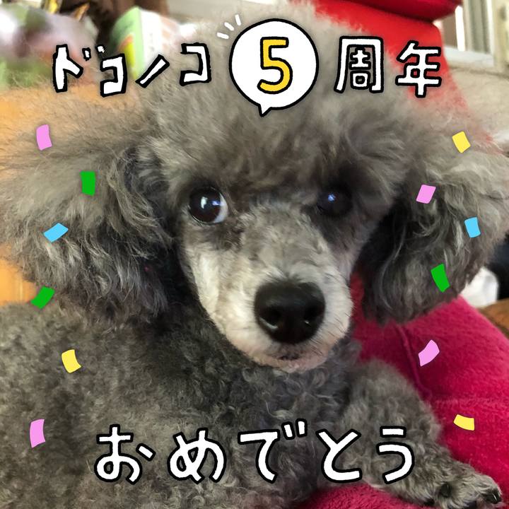 42ecf8bc 3511 4f2a a3b1 71d6fcc0b61f 1623118440983