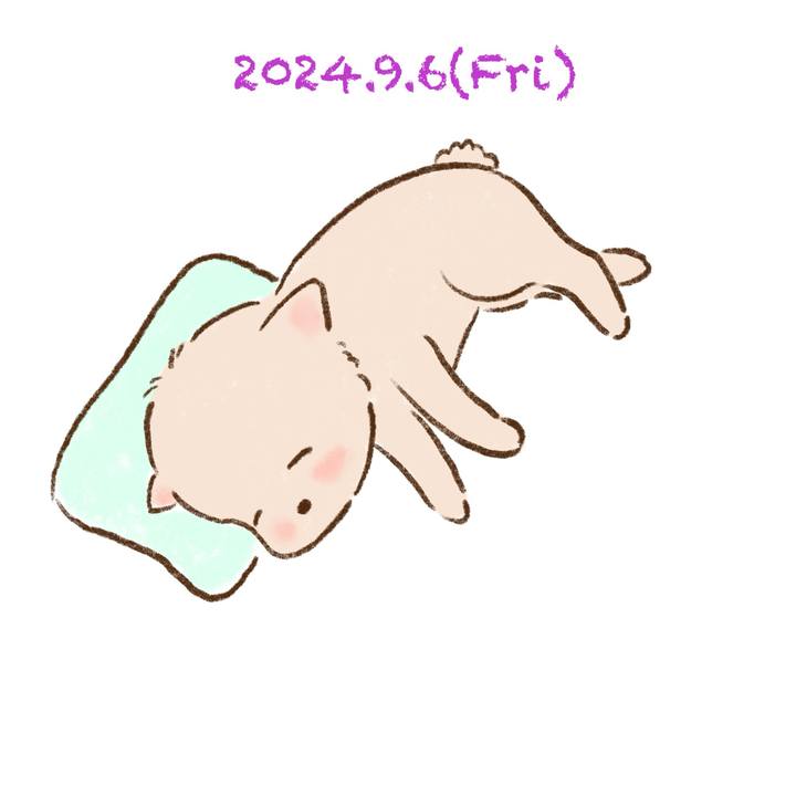 42ed04fe 0927 4655 8872 38c2fd8e5677 1725628320873