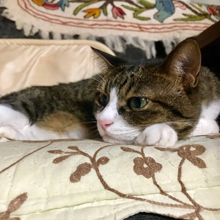 42ed24ff 25da 42f2 afe0 3d63e99acb7b 1533642751412