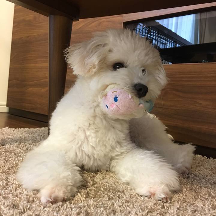 42ed94d9 50c6 40c3 9ba3 1bdecd25b69e 1536391190074