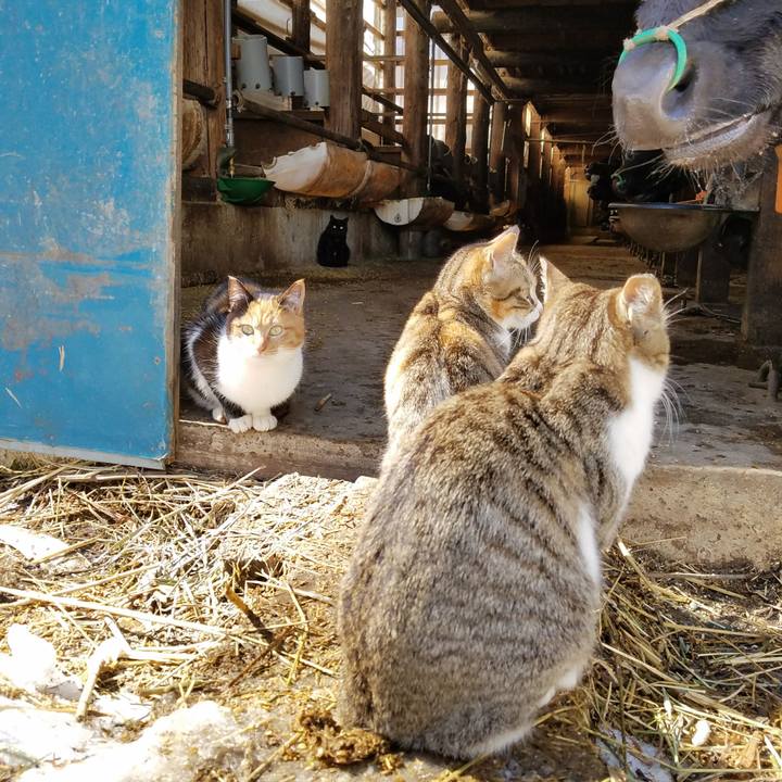 42edb2c8 0913 419c 9477 7de8412dd674 1520136263361