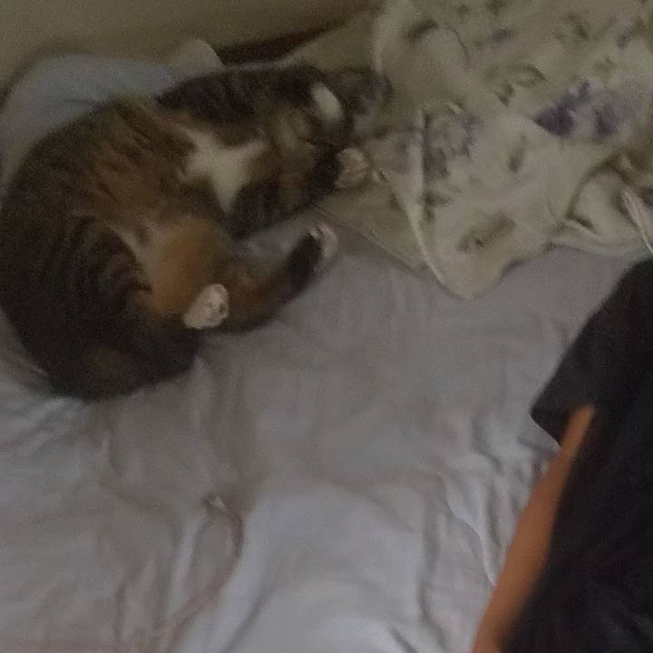 42edbf84 f341 4e17 a0e1 8cc107ad26b1 1754836601364