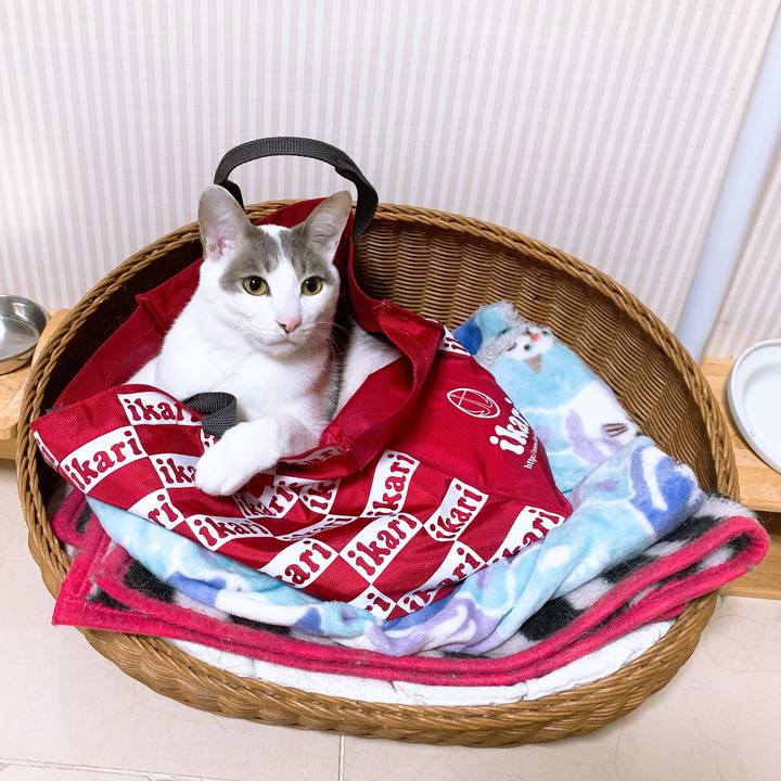 42eddb9b 39b8 451c b05a e57e666dbd81 1592038514062