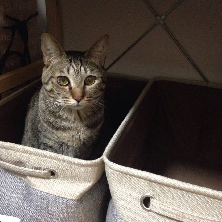 42edf331 ba20 4cf6 ae1a 5d7a49caac64 1512055187759