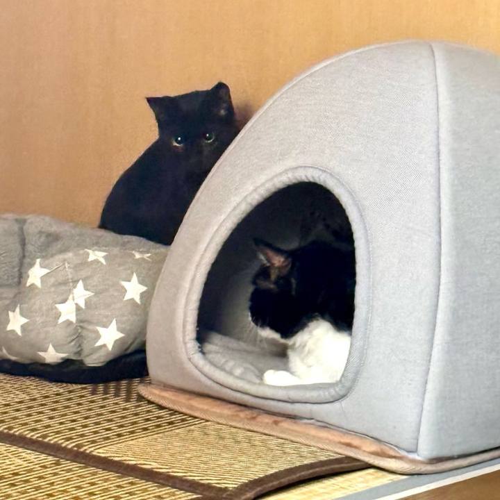 42ee0d2d c038 4a99 b5a4 5c3e4ef24bd2 1730294635180