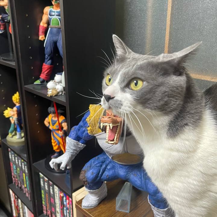 42ee3941 2880 4653 a5fb 6ff31a213a41 1709909138554