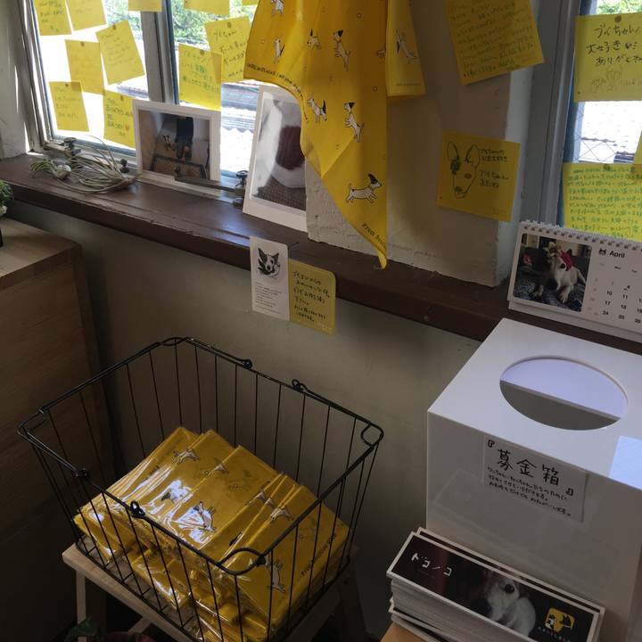 42ee6596 0add 4738 978c 6b848b12eba3 1524214132916