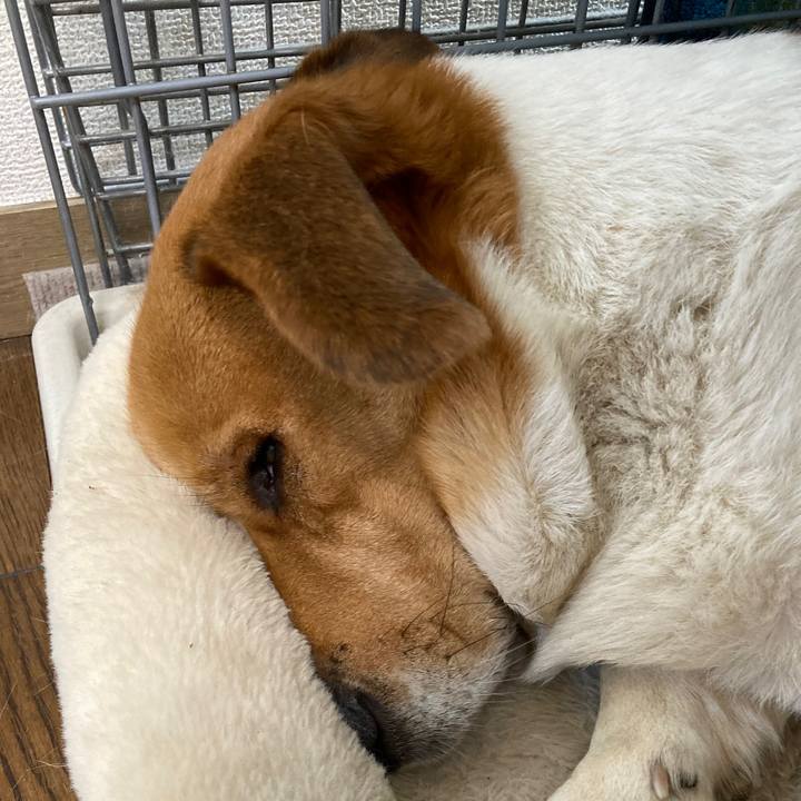 42ee7c76 d402 4750 a6f9 7fdaba0a951d 1736508640834