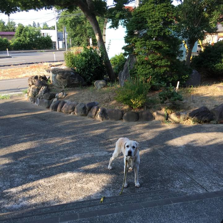 42ee7d71 b381 4511 94fd b4fa5b62ca78 1533431188237