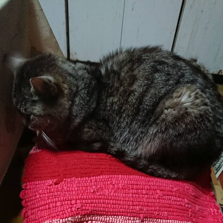 42eea02f 13fb 4137 84a1 8c71ca213146 1554975420752