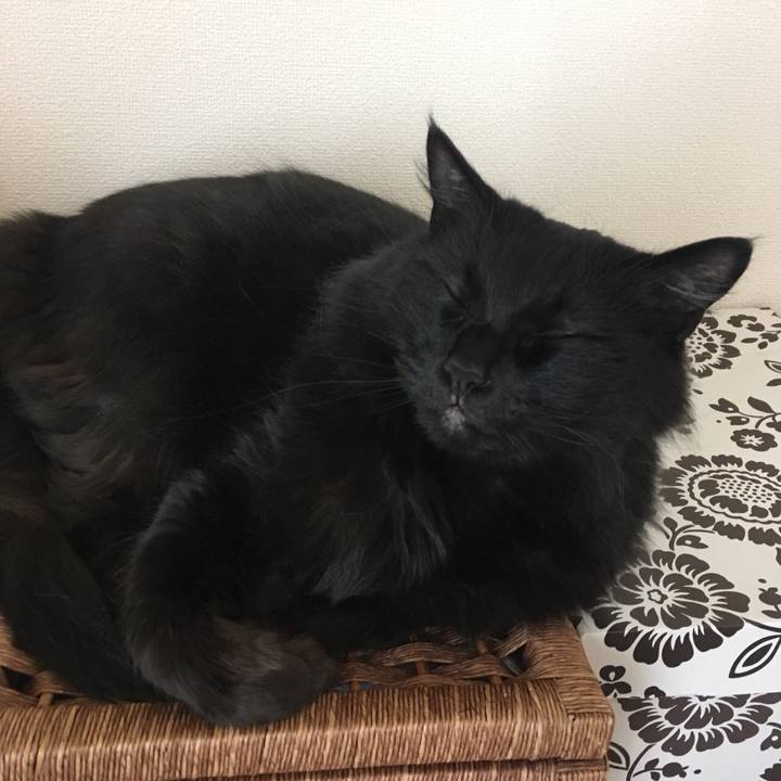 42eeb047 ad9d 4a68 9f9c 5df6415e0095 1527462019206