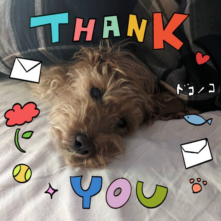 42eeeab9 748d 4daf 8fd0 e035f1f2a986 1715205117476