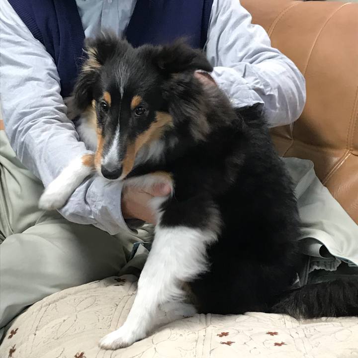 42ef3e5f 6eae 4389 a8a7 1402675b96a9 1517177301309