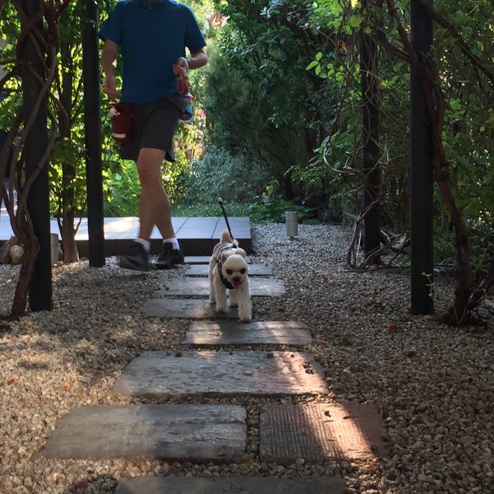 42ef4040 d355 480d 82e9 f771180d7e5a 1565390213757