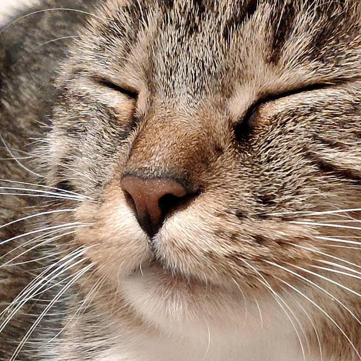 42ef4cef 7f62 41a3 9d2b 1a5b0ae71a91 1671369267628