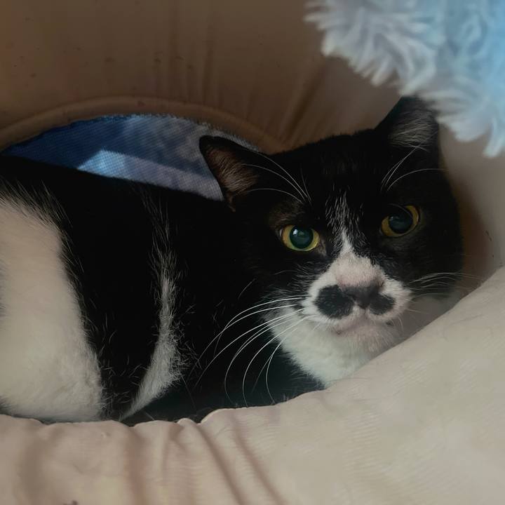 42ef5516 8fe6 40e1 aae1 d939c1834625 1684835912149