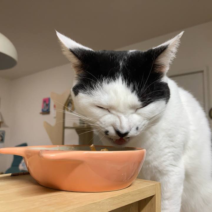 42ef6417 4fe1 4536 be95 4bd432edf921 1763411954697