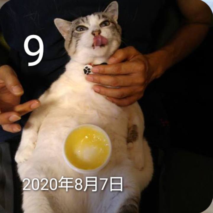 42ef646d bb6b 45b4 b194 1d1f7af52e84 1754696623436