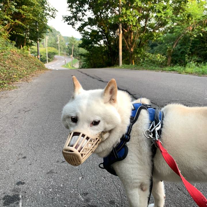 42ef8010 7836 4df5 85cc 29292f175b24 1630792095977