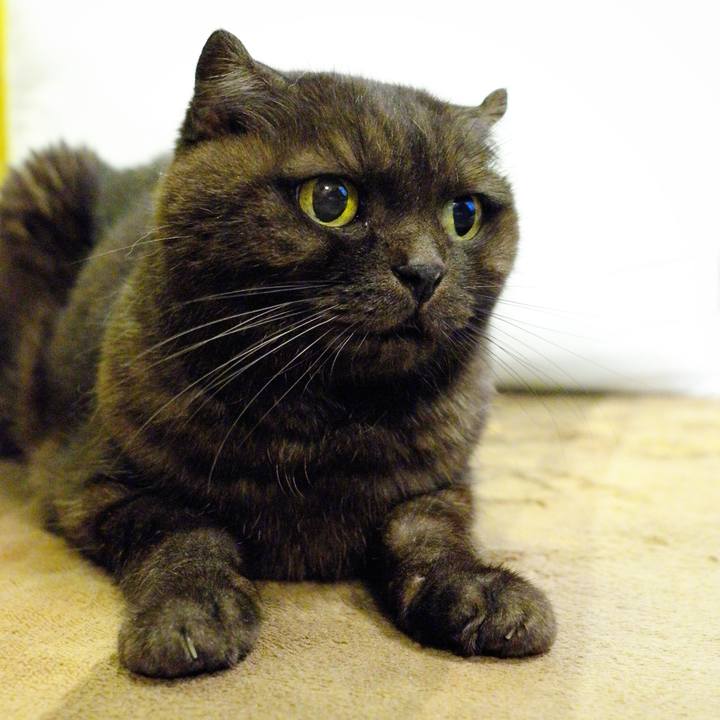 42efadc9 e7c8 437c b2b7 2fb126b12566 1631457938666