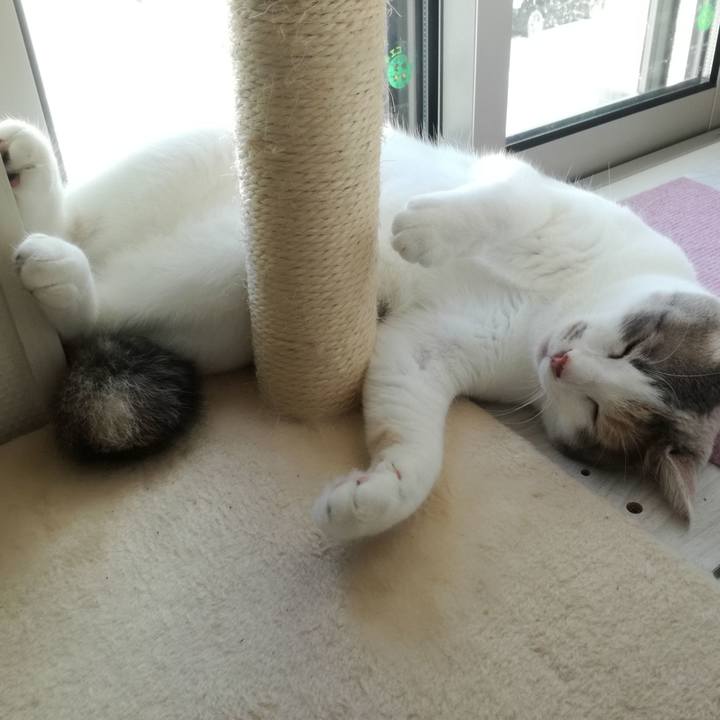 42efeadd bc97 4f91 8142 ead3adf385a6 1531188648524