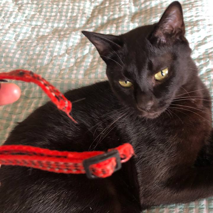 42f017bb 7aed 4b31 8f63 96d253b6dc7a 1724126374913