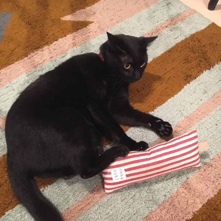 42f043e1 a542 4145 94ba d0ef9a7fa60a 1512991843070