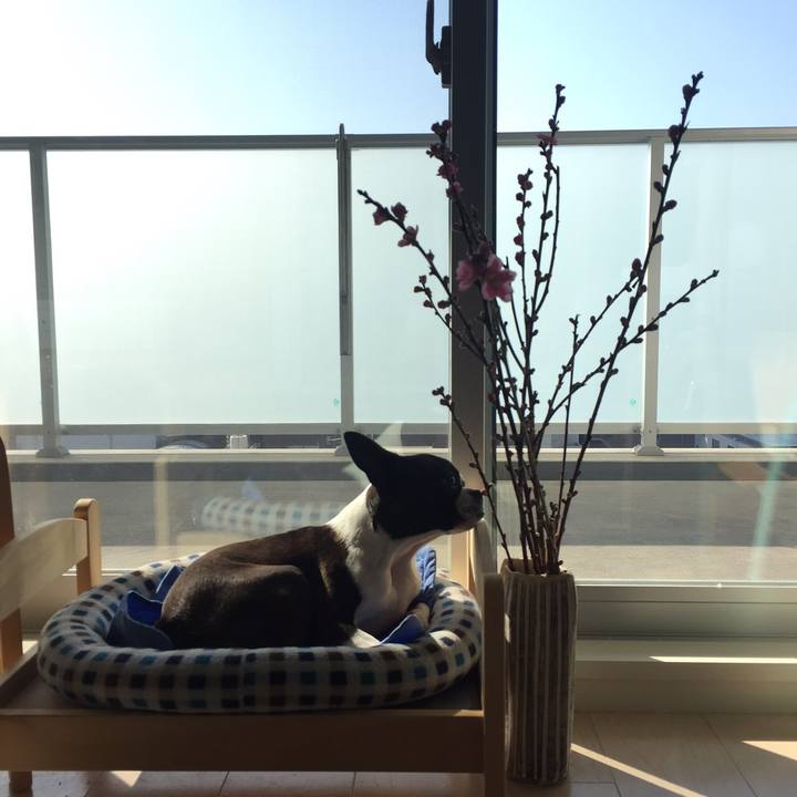 42f0746b e8c7 4a31 ba7e e97bc2f73f83 1519870635069