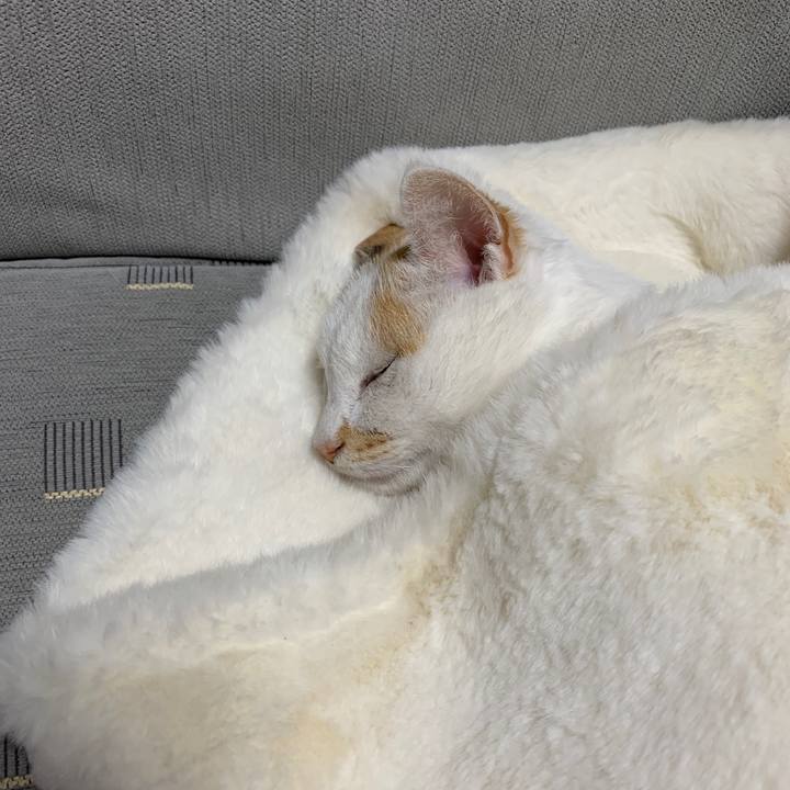 42f07d43 df69 4779 9fcf 5efa4dbb8117 1580433963001