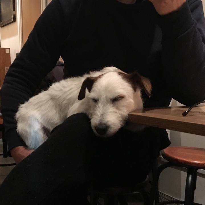 42f0a46d ce33 4443 b0d7 89e9a1a2d40f 1546517239347