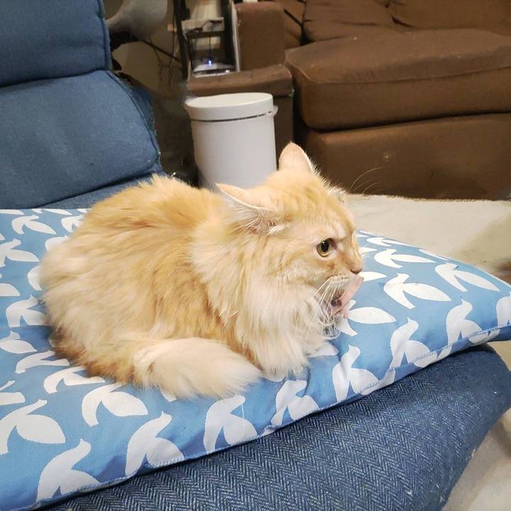 42f0b94b d126 4c85 a89f e28f1898f9c9 1721519250475