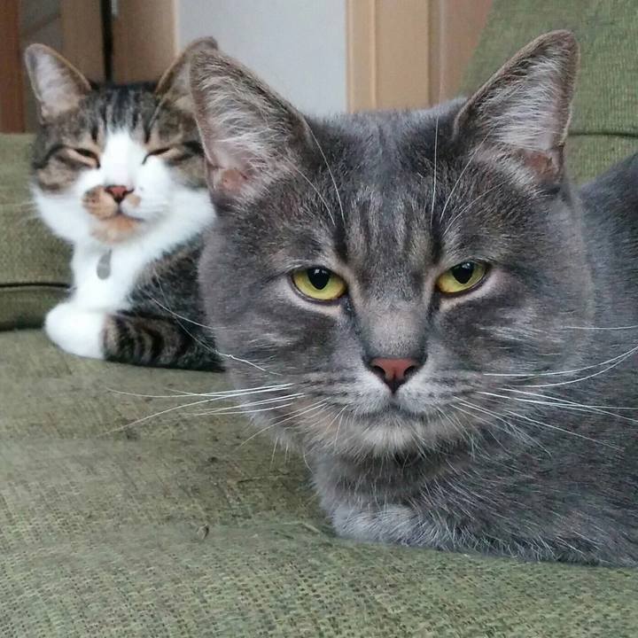 42f0d1ce 7c1c 4087 b182 b42abce6d24a 1555792507961