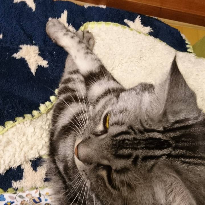 42f0e2fd 97f8 4abb 9978 3c0caf598831 1512441953549