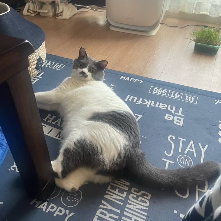 42f0ffdf e732 414f 94f6 6cf8d1a3b9ce 1726095450445