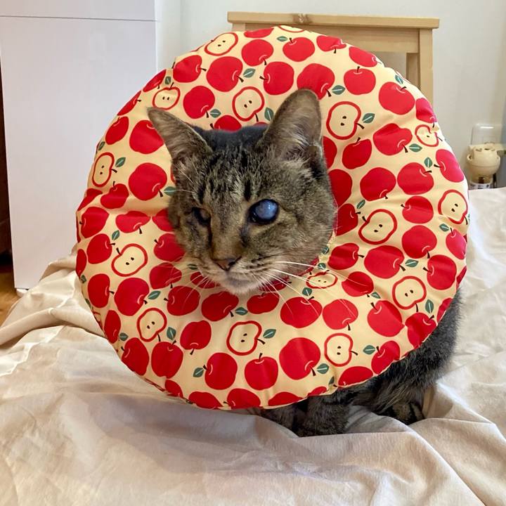 42f120f8 2921 417c 9b7b e4da393d686f 1683075206928