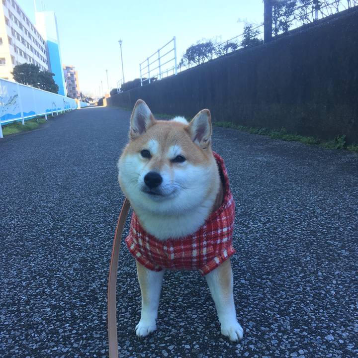 42f12c0b 0ae9 494d bd6f 871acc885727 1545958700798